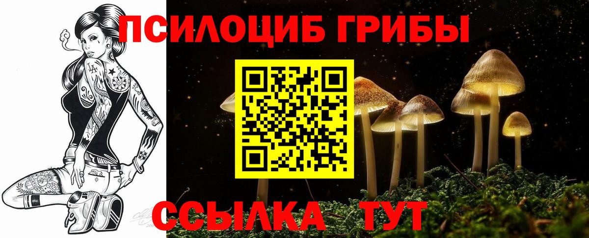 Галлюциногенные грибы мицелий Биробиджан